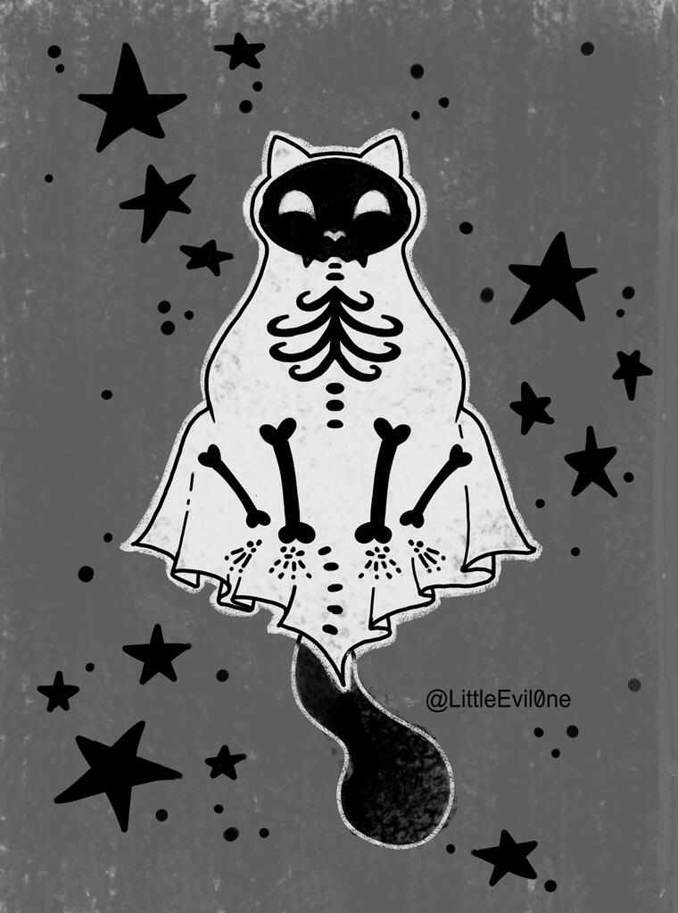 ghost kitty A ghost cat on a gray background with black stars. Through the ghost sheet you can see the cat's bones